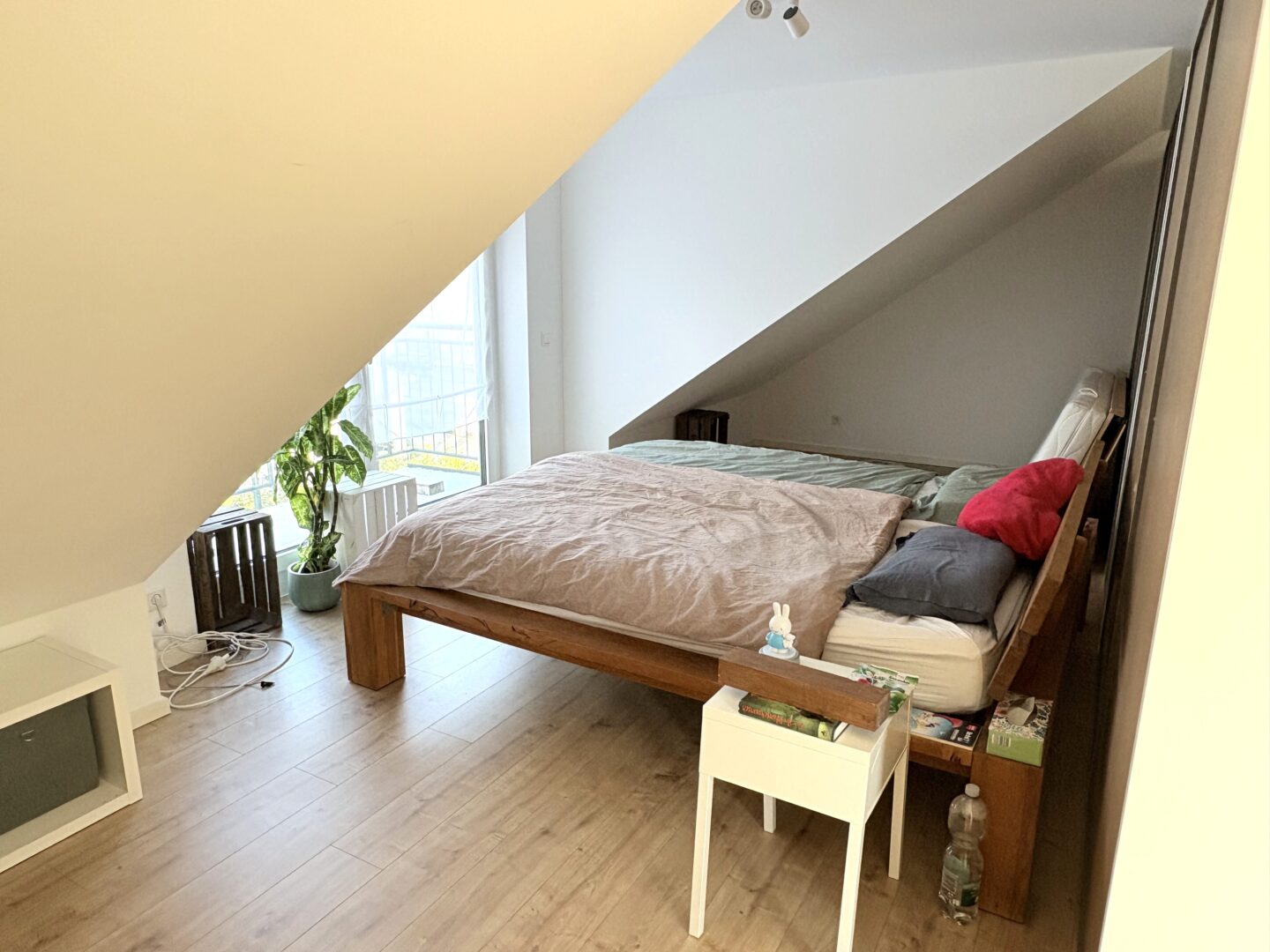 Studio DG Bild 3